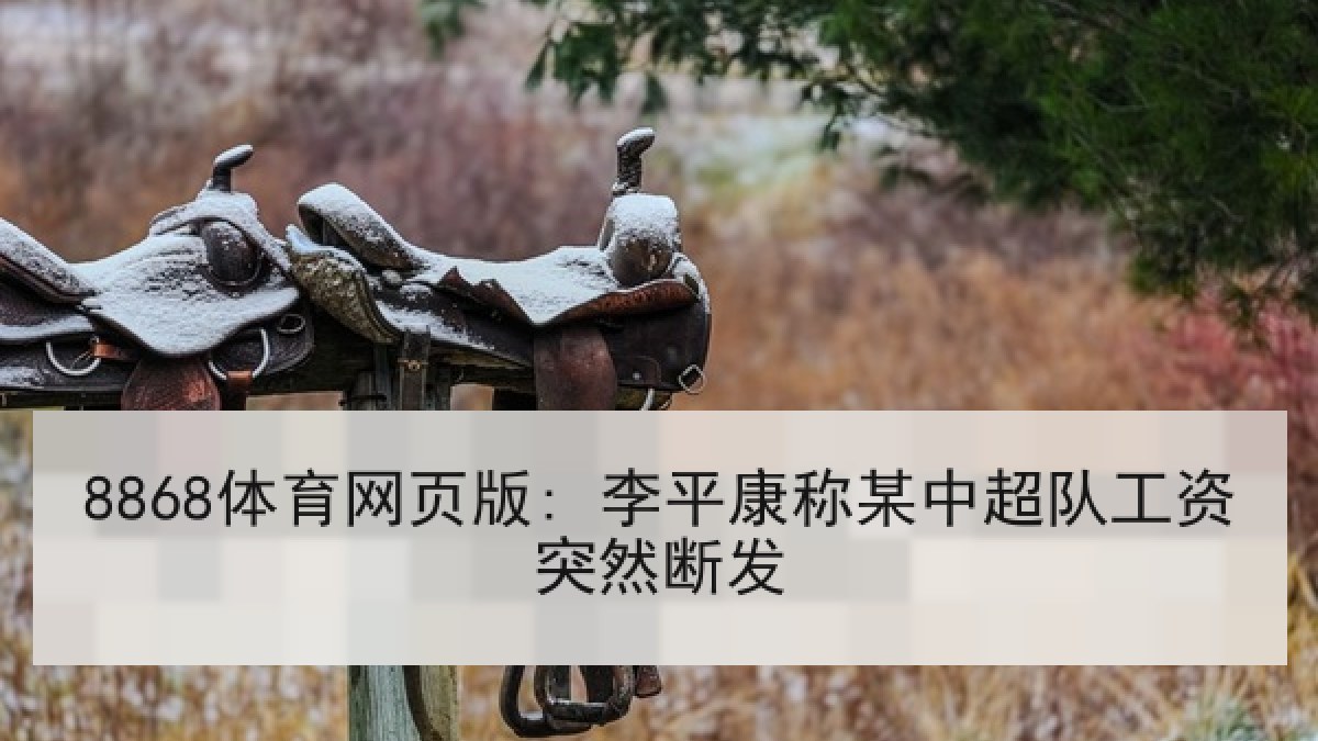 8868体育网页版: 李平康称某中超队工资突然断发