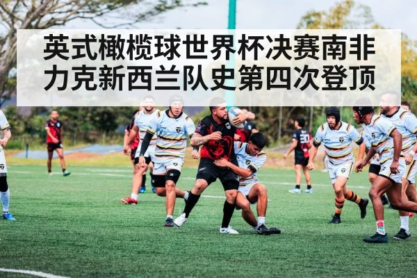 英式橄榄球世界杯决赛南非力克新西兰队史第四次登顶